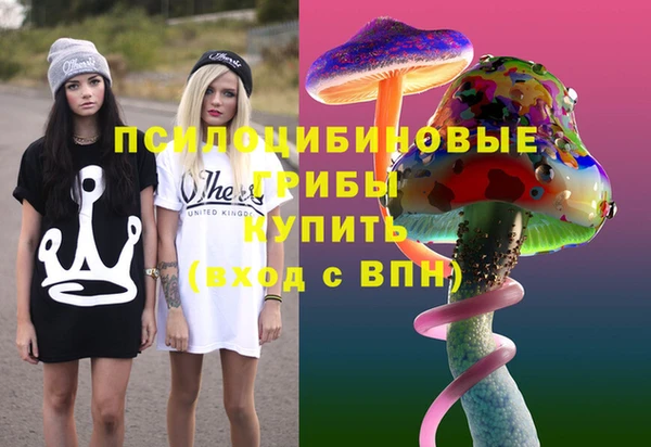 МДПВ Алексеевка