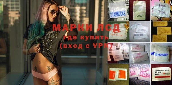 шишки Алексин