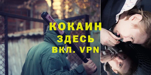 гашик Алзамай