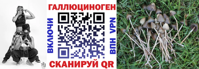 Галлюциногенные грибы Psilocybine cubensis  кракен tor  Куса 