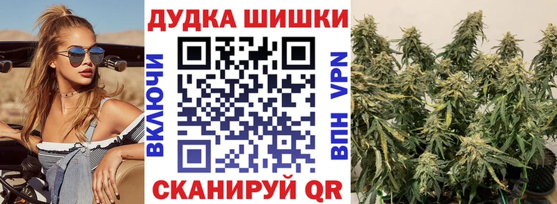 закладки  Куса  Канабис гибрид 